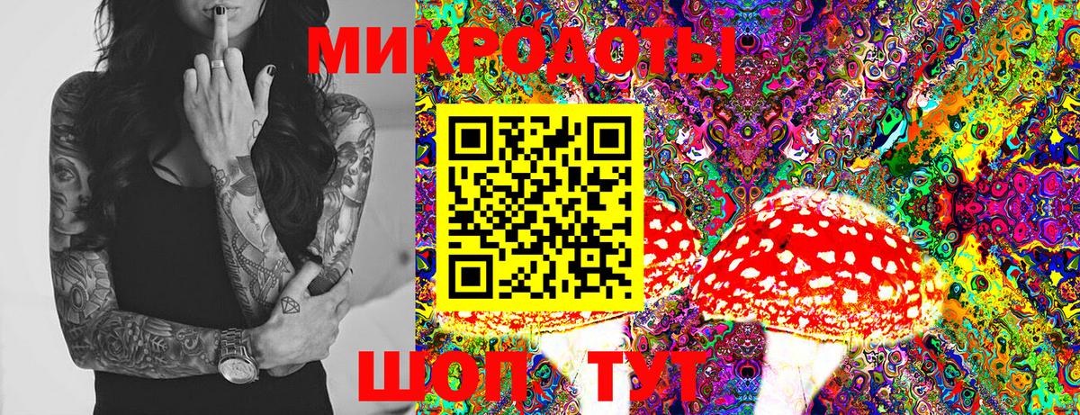 Галлюциногенные грибы GOLDEN TEACHER Сочи
