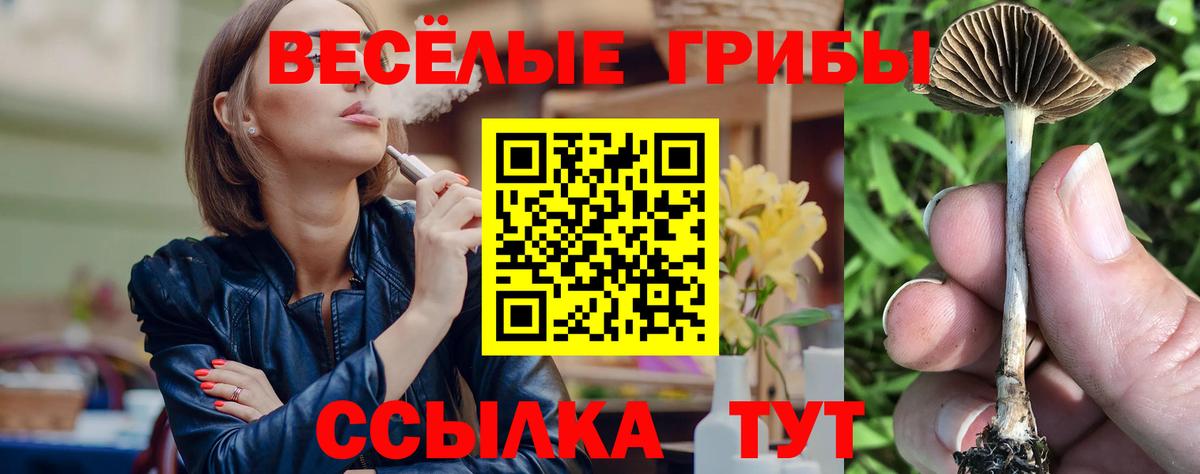 Галлюциногенные грибы мицелий  Вход с VPN  Сочи 